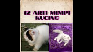 Gaya baru 77 <=> 02 kucing. Arti Mimpi Kucing Hitam By Bintang Bibap