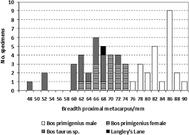 Full article: Making a significant place: excavations at the Late  Mesolithic site of Langley's Lane, Midsomer Norton, Bath and North-East  Somerset