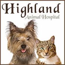 Closed wednesday and sunday f highlandparkvets.com o family owned highland park veterinary clinic pet's needs covered. Highland Animal Hospital 399 Patricia Avenue Dunedin Reviews And Appointments Topvet