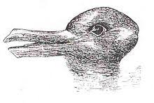 Image result for illusion pictures