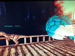 Ark: Survival Evolved - Oviraptor Taming Guide - Egg Collector - Spawn  Locations - How To Tame And More!!! : R/Playark