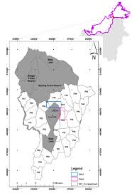 International office cranberry international sdn bhd no. Remote Sensing Free Full Text Aboveground Biomass Changes In Tropical Montane Forest Of Northern Borneo Estimated Using Spaceborne And Airborne Digital Elevation Data Html