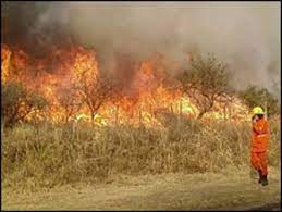Continua los incendios forestales en argentina. Argentina Vastos Incendios Forestales Bbc News Mundo