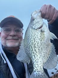 Any tips for catching fish with minnows?