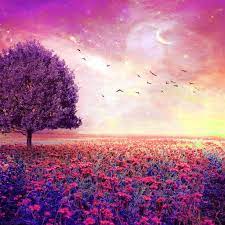 Fairy Dreamy Nature Flower Garden Ipad Air Wallpaper Ipad Air Wallpaper Wallpaper Pictures Iphone Wallpaper Winter