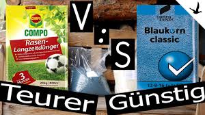 Unmittelbar nach dem düngen wird die rasenfläche ausgiebig gewässert. Rasendunger Vergleich Teuer Gegen Gunstig Marken Rasendunger Gegen Blaukorn Universal Dunger Youtube