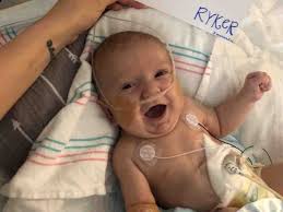 Fundraiser for Shayla Marie Addison by heather ODaniel : Rally with Ryker
