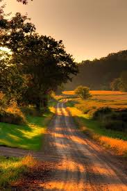 Find the perfect beautiful country stock illustrations from getty images. Country Road On Summer Dusk Country Landscaping Nature Photography Landscape