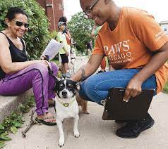 There is a long list of why dogs are such a wonderful companion to have, some of the reasons include their loyal nature, their loving disposition, and protective instincts. Paws Chicago To Open New Outreach Center In Englewood Chicago News Wttw