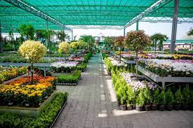 Furniture For Plants And Flowers Garden Center Plants Garden Center Displays