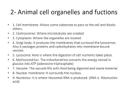 Check spelling or type a new query. Cell Parts Organelles And Functions Ppt Video Online Download