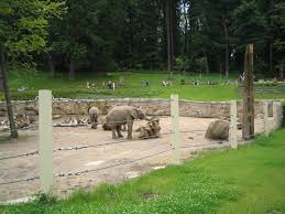 Března jste celkem věnovali 19 143 649. Zoo Zlin