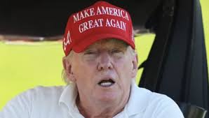 I'm curious…what are y'alls thoughts