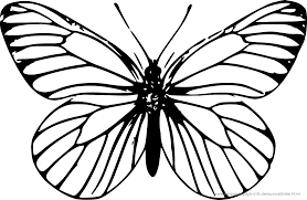 Ausmalbilder Käfer Schmetterlinge Insekten