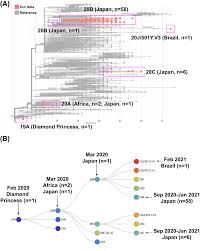 South africa has named this variant 501y.v2, because of a n501y mutation. Discovery Of A Sars Cov 2 Variant From The P 1 Lineage Harboring K417t E484k N501y Mutations In Kofu Japan Journal Of Infection