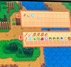 Where To Find Every Mineral And Gem In Stardew Valley
