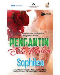 Erina yang mahu merasai kehidupan sebagai isteri amar meminta mereka bercerai hanya selepas 100 hari pernikahan. Sinopsis Drama Pengantin Satu Malam Zikri Husaini