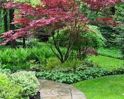 Beautiful Japanese Maple Japanese Maple Garden Japanese Garden Garden Landscape Design