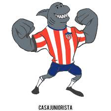 Maybe you would like to learn more about one of these? Junior De Barranquilla Shark Sticker By Vibrarte Colombia For Ios Android Giphy