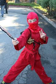 Pin On Ninjago Costume Ideas For Halloween 2014
