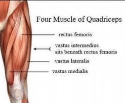 You'll transform your legs and your entire body. 5 Step Knee Pain Cure Ellie Herman Pilates