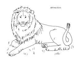 School's out for summer, so keep kids of all ages busy with summer coloring sheets. African Lion Coloring Page By Mama Draw It Teachers Pay Teachers