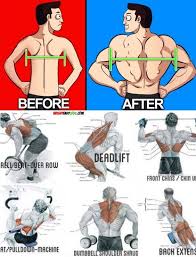 Back Exercises Weight Training Workouts Workout Plan Gym Shoulder Workout