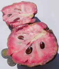 Rated 4.50 out of 5 based on 4 customer ratings. Pin On Food Forest