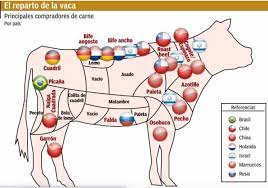 Check spelling or type a new query. Exportacion De Carne Argentina Cortes De Carne