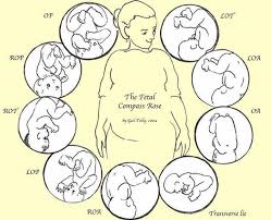 Pin On Medical Wonders