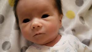 Fundraiser for Shelley Comstock by Amanda Nielsen : Elijah William