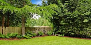 Maybe you would like to learn more about one of these? Arbor Masters Tree Service In Summerfield Nc Connect2local