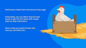 When do chickens use nesting boxes? Chicken Nesting Boxes 101 And 13 Best Diy Plans