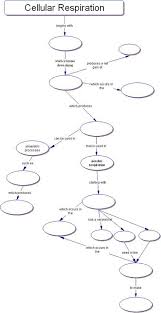 Pin On Cellular Microbiology