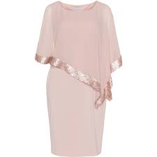 Gina Bacconi Pink Plus Size Cocktail Dress With Chiffon Wrap Women Bodycon Dress Plus Size Cocktail Dresses Plus Size Sequin Dresses