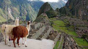 Machu picchu, now a unesco world heritage site, is believed to have been used as a country palace by the inca. How To Acclimate To The High Altitude Of Machu Picchu