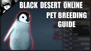 Their amazing journey to breeding grounds deep in the. Black Desert Pet Breeding Pet Exchange Youtube