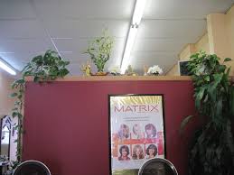 Molly Had a Dream: Her Own Hair Salon and a Big "Book"