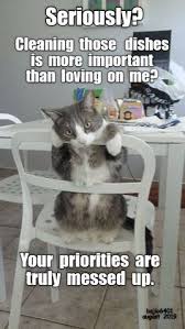 Top 25 Memes Of The Week Cheezburger Users Edition 107 Funny Cat Pictures Funny Cat Memes Cat Pics