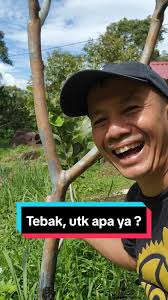 Cara Buat Ketapel dari Benda Bekas