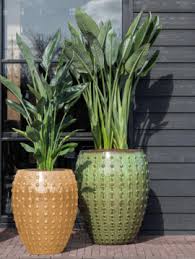 Large outdoor ceramic planters are preferable to clay pots when starting seeds, as they retain moisture more consistently. Outdoor Pottery Flowerfeldt Large Garden Pots Flowerfeldt