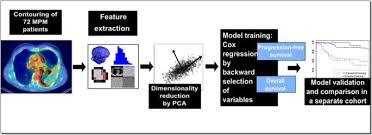 Malignant mesothelioma is an aggressive tumour originating in the serosal membranes that line the thoracic and abdominal cavities. Fdg Pet Versus Ct Radiomics To Predict Outcome In Malignant Pleural Mesothelioma Patients Ejnmmi Research Full Text