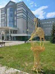 Аисты прилетели