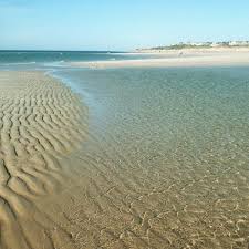 Mayflower Beach Beach Cape Cod Vacation Cape Cod Ma