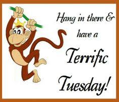 Free Silly Tuesday Cliparts, Download Free Clip Art, Free Clip Art ...