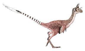 Avimimus拟鸟龙属 Avimimus Nemegtensis Has A Face By Zegh8578 On Deviantart Face Extinct Animals Animals