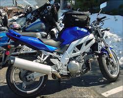 Polar Bear Grand Tour