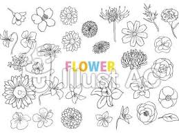 代表作は「夢王国と眠れる100人の王子様 a little record」（企画・原案：ジークレスト、花とゆめcomics、全1巻）。 小説や漫画をレンタルするにはアルファポリスへのログインが必要です。 æ‰‹æ›¸ãèŠ±ã‚¤ãƒ©ã‚¹ãƒˆã‚»ãƒƒãƒˆ èŠ± ã‚¤ãƒ©ã‚¹ãƒˆ ã‚¤ãƒ©ã‚¹ãƒˆ ãƒœãƒ¼ãƒ«ãƒšãƒ³ ã‚¤ãƒ©ã‚¹ãƒˆ