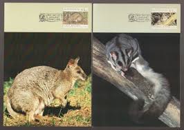 Threatened Animal Species Australia Set Of 6 Maxi Cards Dunnart Bat Glider Pygmy Possum Kids Project Ephemera Endangered Animals In 2020 Endangered Animals Animal Species Endangered
