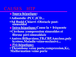 1 Gradient De Pression Entre Le Systeme Porte Et La Veine Ppt Video Online Telecharger